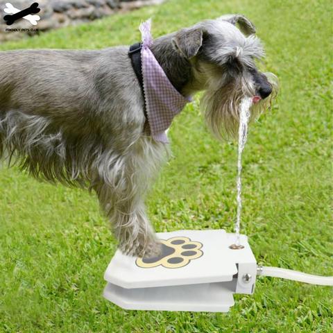 Automatic Water Fountain For Dogs Online Low Prices Molooco Shop   1 26 