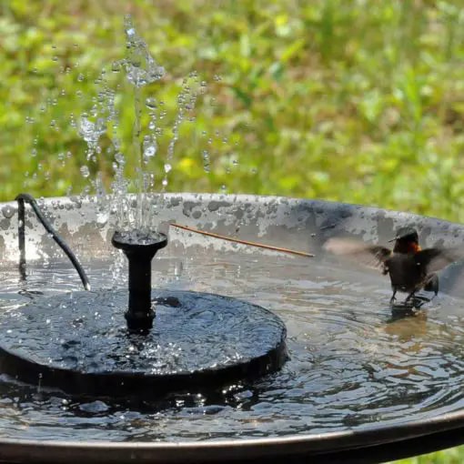 Solar Powered Bird Bath Fountain Kit - Online Low Prices - Molooco Shop