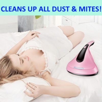 DustVac The Anti-Dustmites Vacuum