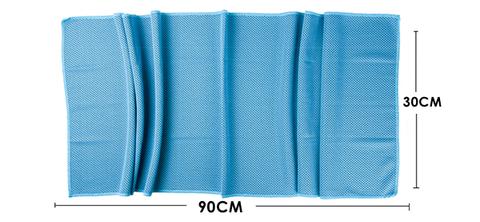 Coolio Ice Silk Microfiber Towel