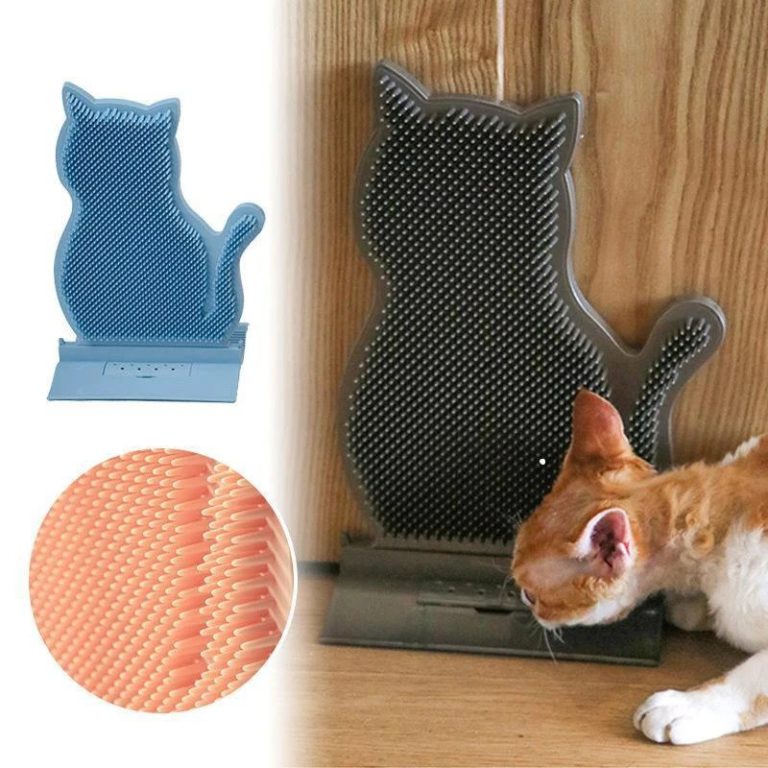 cat scratch toy