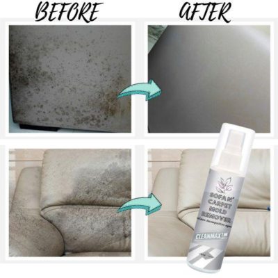 CleanMax Sofa N' Carpet Mold Remover,mold and mildew,mold growth,thrive in moist,mold spores