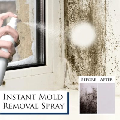 MoldEX Instant Mold Remover Spray,mold problem,mildew stain remover,mold growth,spraying cleaner