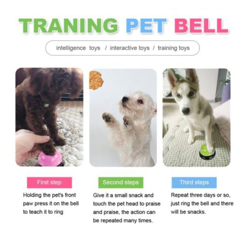 Pet Dinner Reminder Toy,Toy,training bell,small dogs