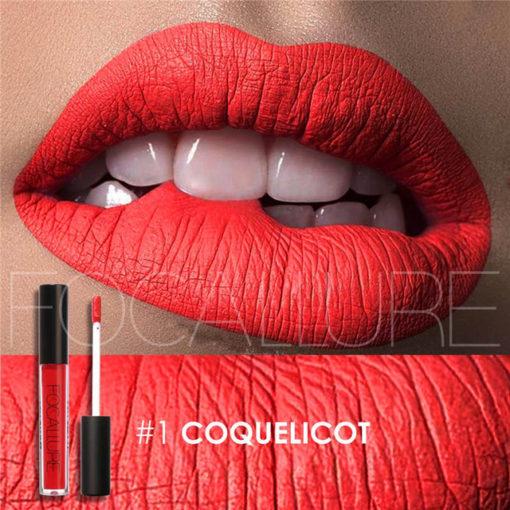 Focallure Waterproof Liquid Lipstick,Waterproof Liquid Lipstick,Liquid Lipstick,Smudge Proof Lipstick,Proof Lipstick