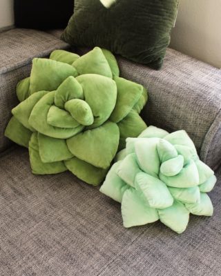 Succulent Pillow,Comforting Succulent Pillow