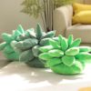 Succulent Pillow,Comforting Succulent Pillow