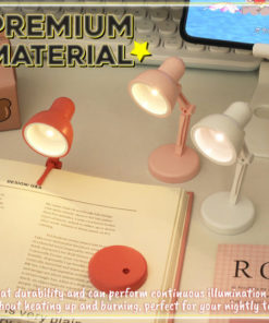 Mini Desk Lamp