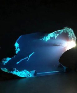 Diver Whale Night Light