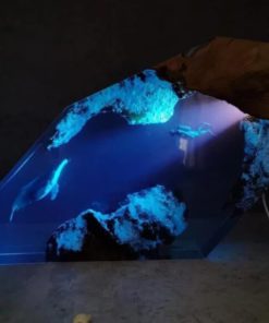 Diver Whale Night Light