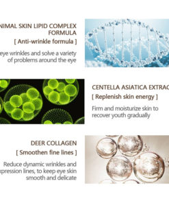 Anti Aging Eye Cream