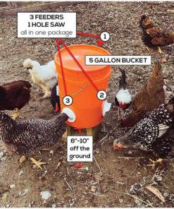 DIY Chicken Feeder