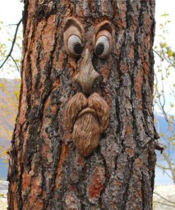 Old Man Tree Face Decoration