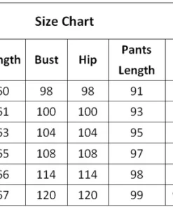 Soft Comfortable Ice Silk Short Sleeve T-Shirt Two Piece Set Loose Wide-leg Pants