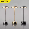 Metallic Cordless Table Lamp