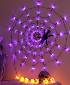 Halloween LED Spider Web Lights