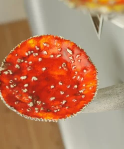 Mushroom Hanging Shelf