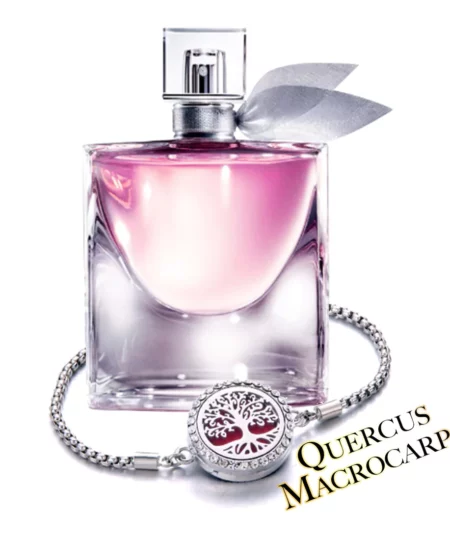 Parfum De Déesse