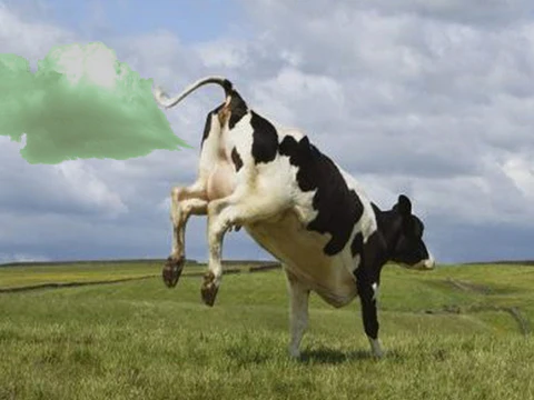 Biancat™ EczaSoothe Cow Fart Eczema Oil