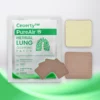 Ceoerty™ PureAir Herbal Lung Cleansing Patch