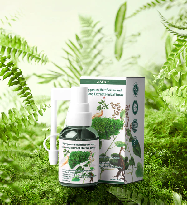 Polygonum Multiflorum et Extrait de ginseng Spray à base de plantes,  extrait de plantes – gouttes d'élimination du foie, Polygonum Multiflorum  gouttes d'élimination du foie